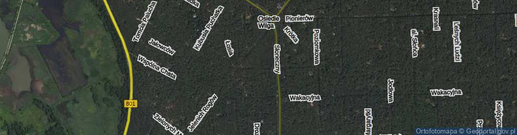 Zdjęcie satelitarne Reksia ul.